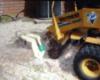 DTS Tree Stump Grinding