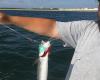 E-Fishinsea Sport Fishing Charters