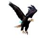 Eagle Express Courier Service