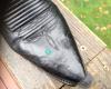 Edwards Boot & Shoe Repair
