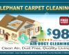 Elephant Carpet Cleaning