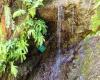 Elowah Falls Trail