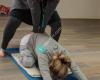 Embarque-Yoga Wellness Spa