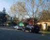 Encinal Tree Service