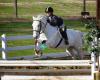 Equestrian Training Center