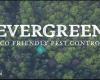 Evergreen Eco Pest Control