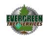 Evergreen Tree Services