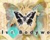 Evolve Bodywork