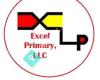 Excel Primary, LLC