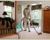 F&S Carpet Cleaning