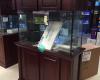 Fishy Business Aquariums & Supplies