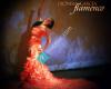 Flamenco NYC- Dionisia Garcia