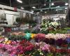 Floramax Wholesale