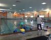 Flying Fish Swimming School