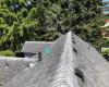 Forcewashing Roof & Gutter Cleaning