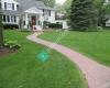 Forest Green Lawn & Landscaping