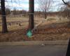 Forest Hill Calvary Cemetery