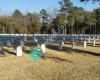 Fort Mitchell National Cemetery