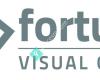 Fortuna Visual Group