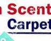 Fresh Scent Carpet Care