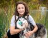 Furball Fitness Dog Walking & Pet Care