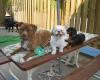 FurChilds