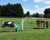 Gambler's Choice Equestrian Center, LLC