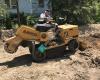 Gardner Stump Removal