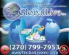 Global Live Inc Web Design and IT Support