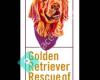 Golden Retriever Rescue Of Atlanta