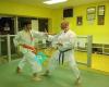 Greenpoint Shotokan Karate
