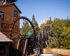 Grizzly River Run