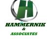 Hammernik & Associates