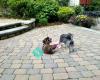 Happy Tails Personal Pet Sitting