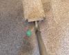 Happy Wand Carpet Cleaning