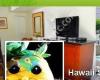 Hawaii Student Suites