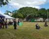 Hawaiian Scottish Festival And Highland Games