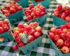 Haymaker Farmers' Market