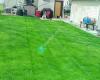 Hersch's Lawn Spray