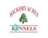 Hickory Acres Kennels