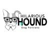 Hilarious Hound Pet Photography