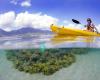 Holokai Kayak and Snorkel Adventures