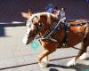 Horse-Drawn Streetcars