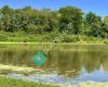 Horseshoe Lake State Park