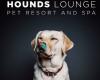 Hounds Lounge Pet Resort and Spa