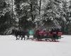 Icicle Outfitters & Guides/Leavenworth Sleigh Rides