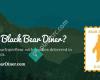 Idaho Falls Black Bear Diner