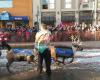 Iditarod Ceremonial Start Viewing