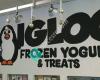 Igloo Frozen Yogurt and Treats