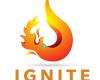 Ignite Fireplace